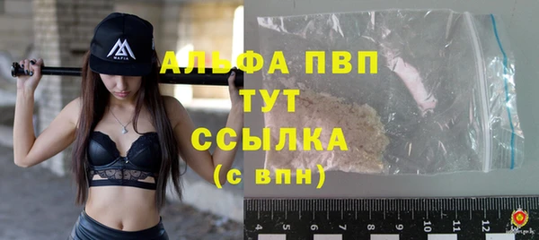стаф Абинск