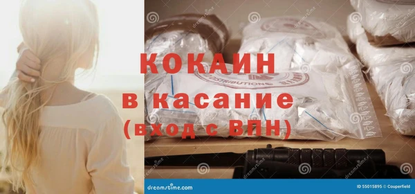 ГАЛЛЮЦИНОГЕННЫЕ ГРИБЫ Абаза