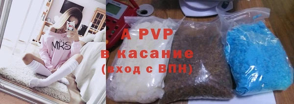 стаф Абинск