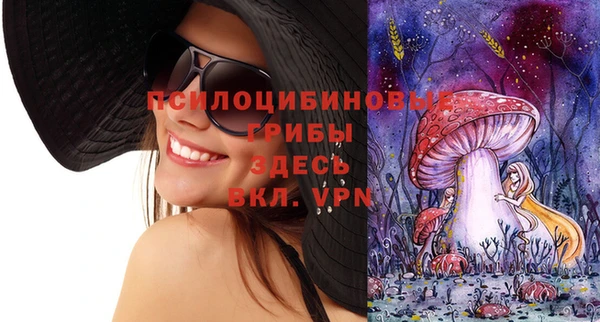 стаф Абинск
