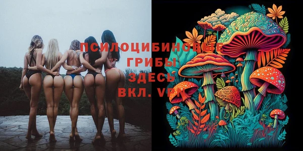 стаф Абинск