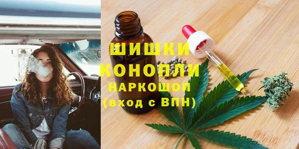 ГАЛЛЮЦИНОГЕННЫЕ ГРИБЫ Абаза
