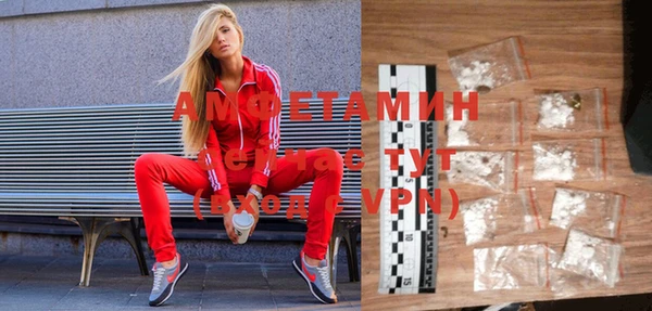 ГАЛЛЮЦИНОГЕННЫЕ ГРИБЫ Абаза