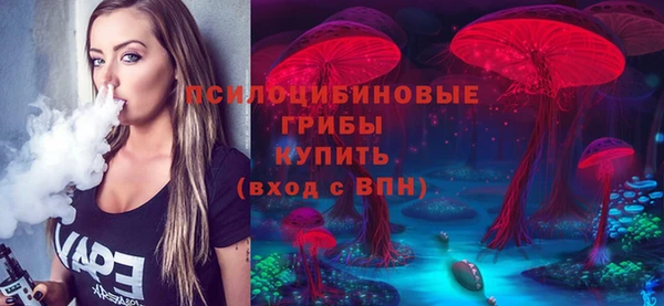 стаф Абинск