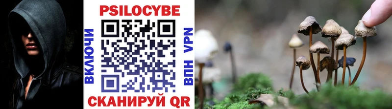 что такое наркотик mega как войти Галлюциногенные грибы прущие грибы Усолье